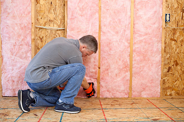 Best Attic Insulation Installation  in Lake Brownwood, TX